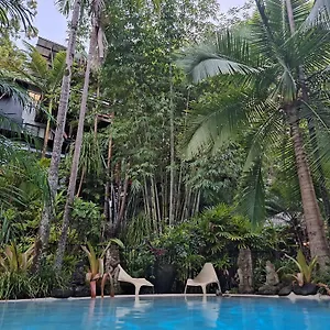Bed & Breakfast Alaya Escape, Eudlo